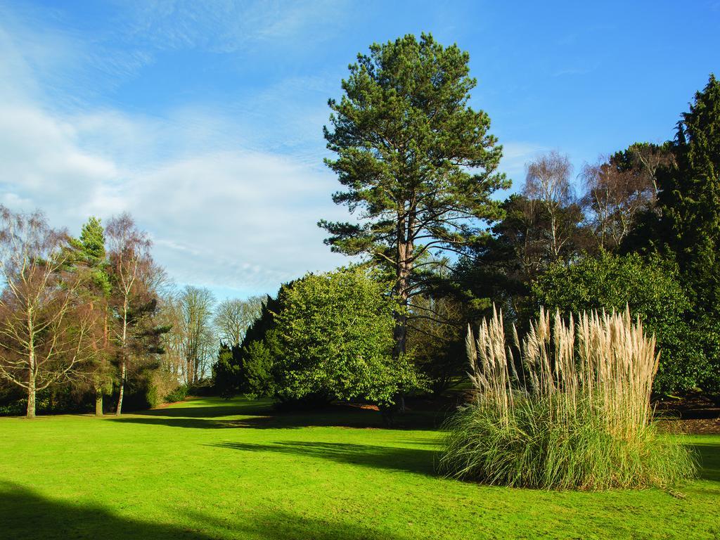 Brandshatch Place & Spa Fawkham Exterior photo